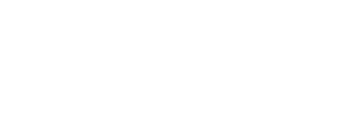 FS8